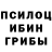 Псилоцибиновые грибы мицелий Habibi _