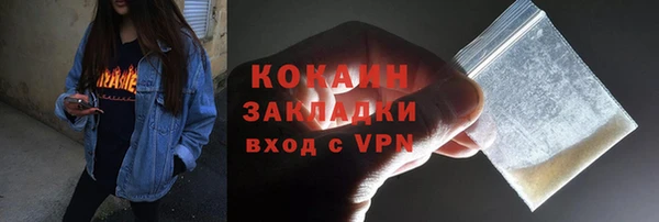 гидра Алексин