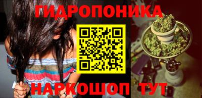 гидра Нальчик