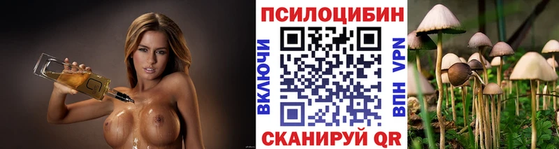 Псилоцибиновые грибы Magic Shrooms  наркошоп  Мыски 