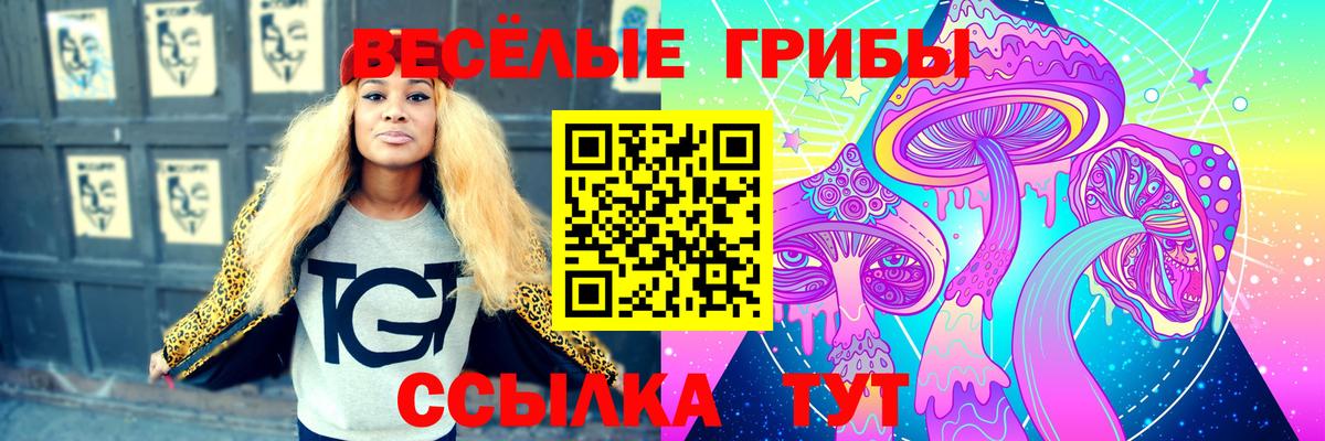 Мыски  Галлюциногенные грибы прущие грибы  Вход с VPN 